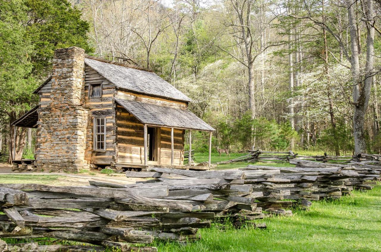 Lazy Cub Lodge, 3 Bedrooms, Pool Table, Hot Tub, WiFi, Sleeps 10 Pigeon Forge Buitenkant foto